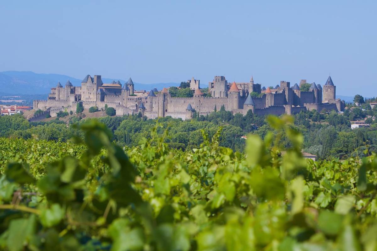 Tout Confort ! Calme, Climatisation, Vue Degagee, Ville ,Parking Gratuit, Ascenseur, Wifi Carcassonne Bagian luar foto