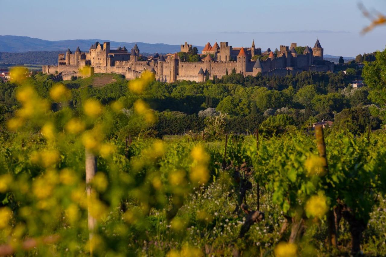 Tout Confort ! Calme, Climatisation, Vue Degagee, Ville ,Parking Gratuit, Ascenseur, Wifi Carcassonne Bagian luar foto