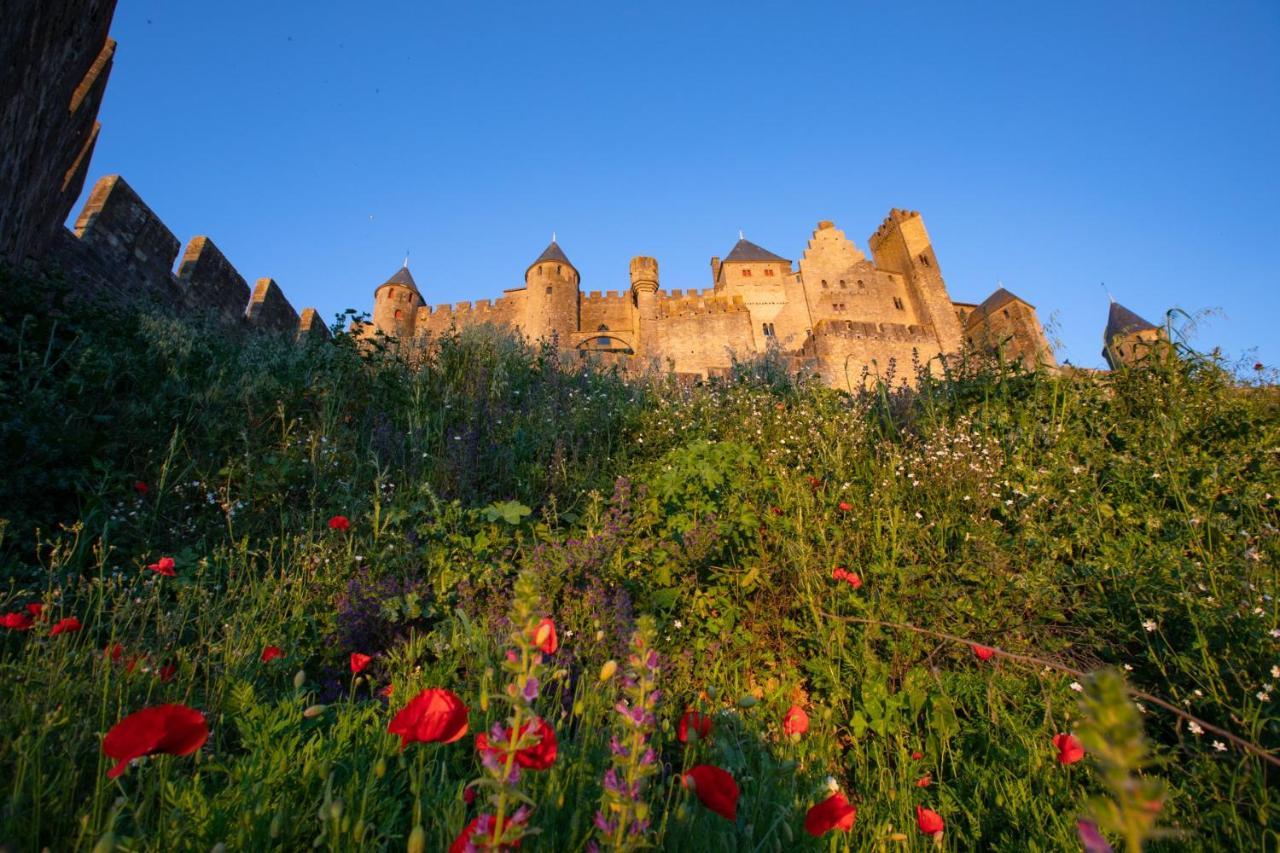 Tout Confort ! Calme, Climatisation, Vue Degagee, Ville ,Parking Gratuit, Ascenseur, Wifi Carcassonne Bagian luar foto